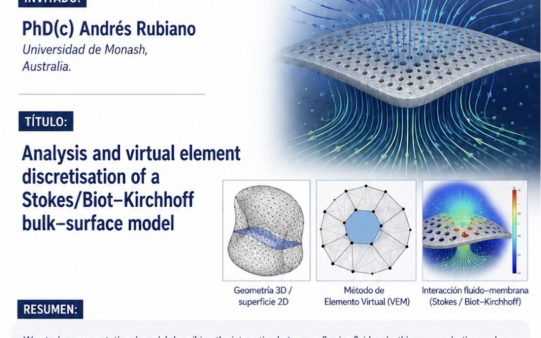 Seminario “Analysis and virtual element discretisation of a Stokes/Biot–Kirchhoff bulk–surface model”